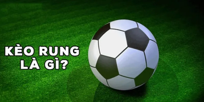 Hướng dẫn cách xem kèo rung hiệu quả