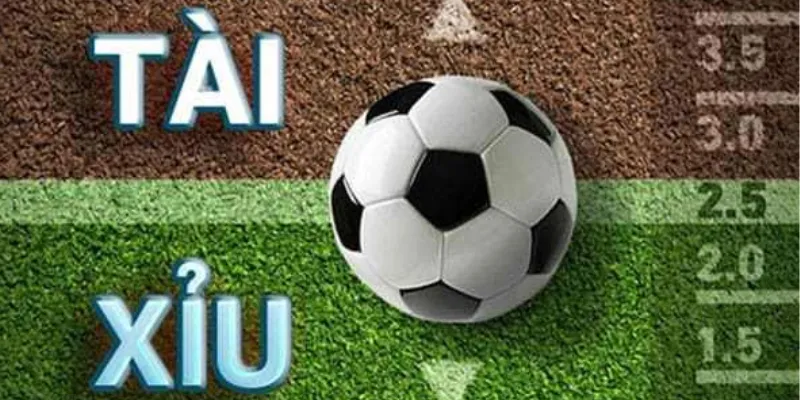 Khám phá cách cược tài xỉu bóng đá cho newbie